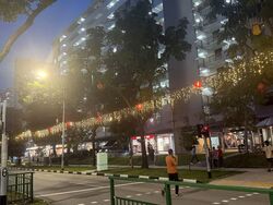 Hougang Avenue 8 (D19), Shop House #530639381